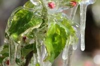 Dem Frühling entgegen am Huber-Hof 